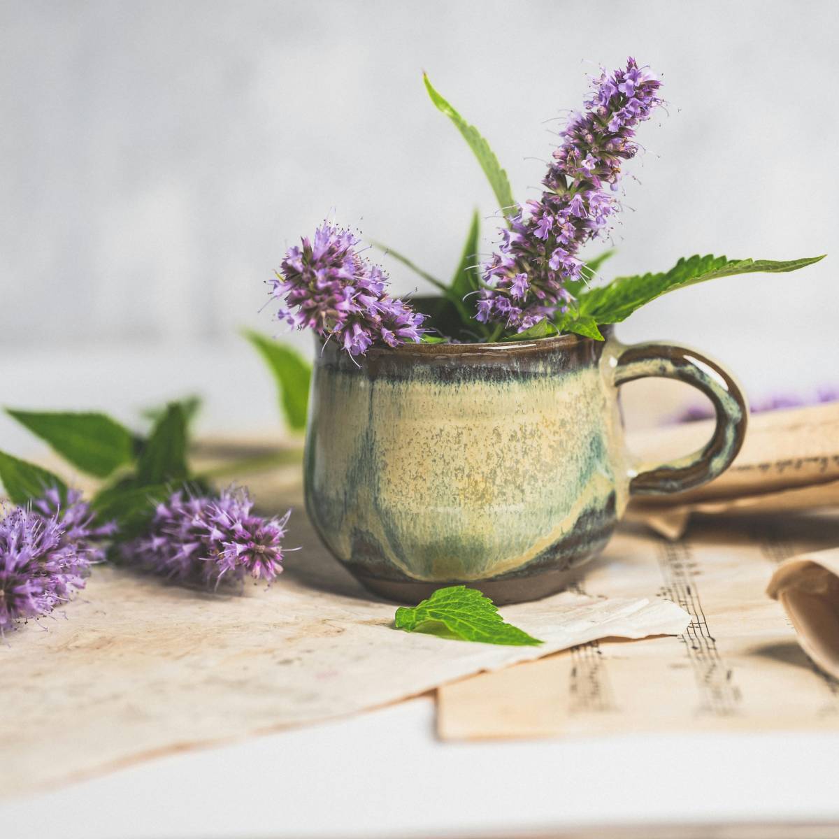 Degustacja z robieniem eliksiru miłosnego | Kraków