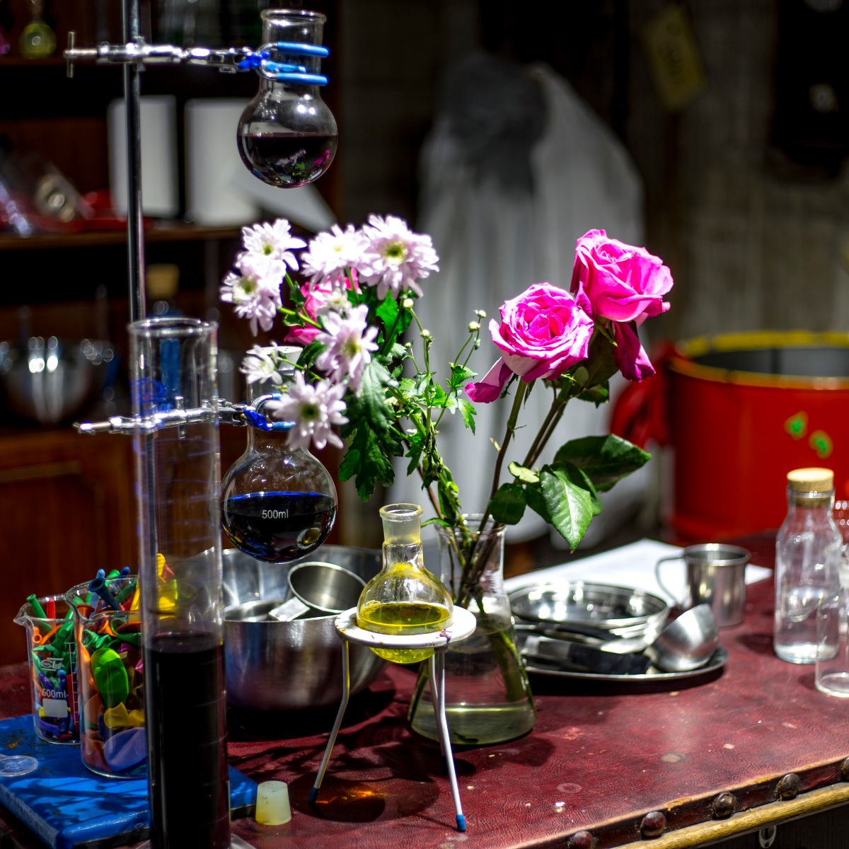 Przygoda w Podziemiach | Jelenia Góra