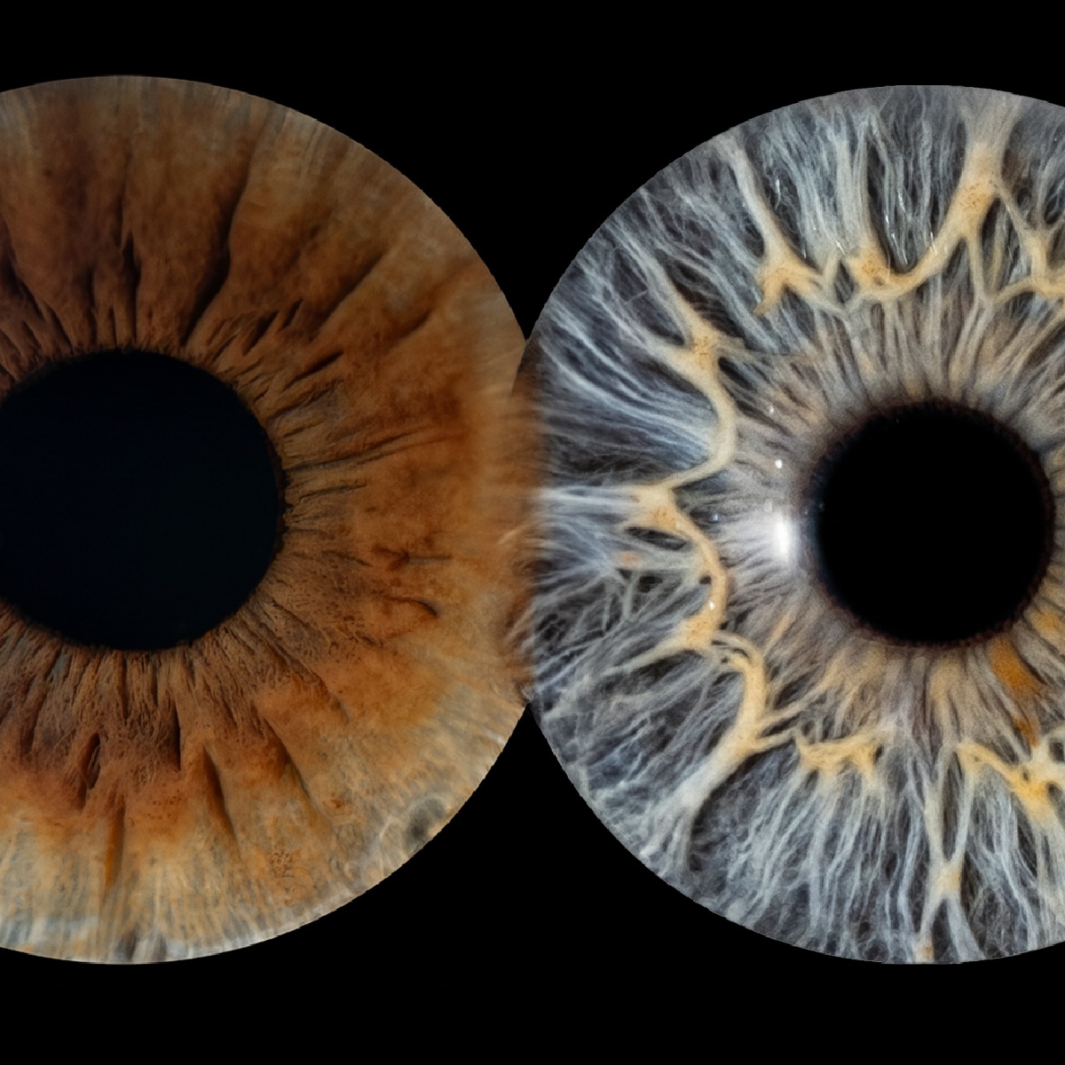 Fotografia tęczówki (artystyczna) | Bydgoszcz