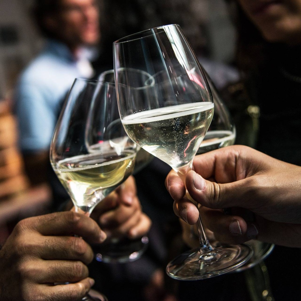 Degustacja Win | Warszawa (Łomianki)