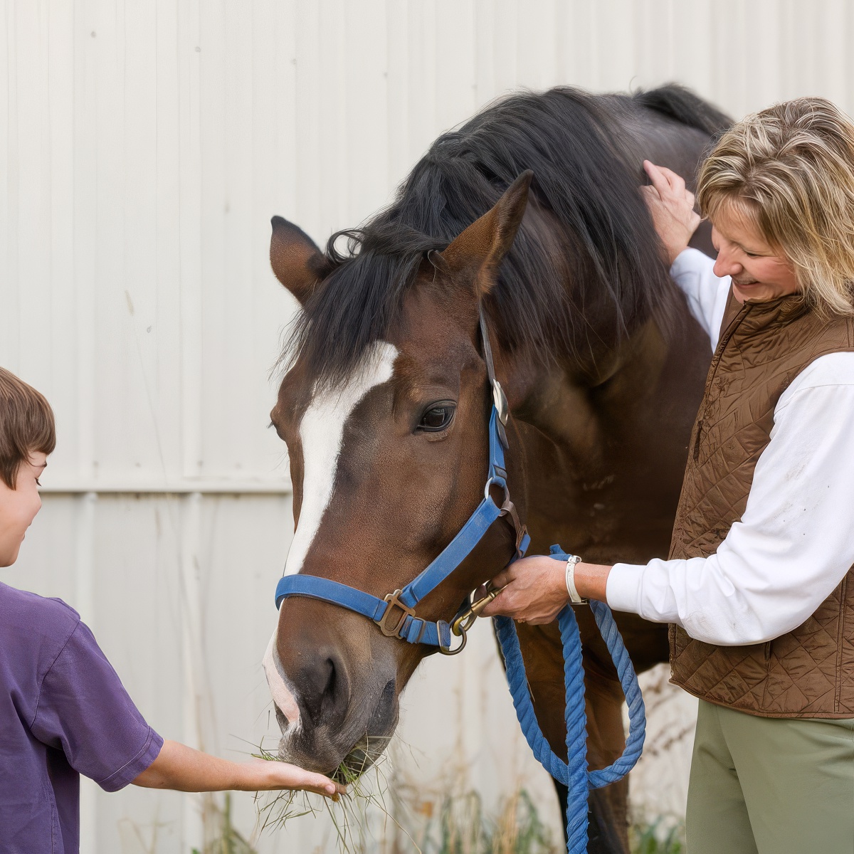 Nauka jazdy konnej dla dzieci | Gdynia