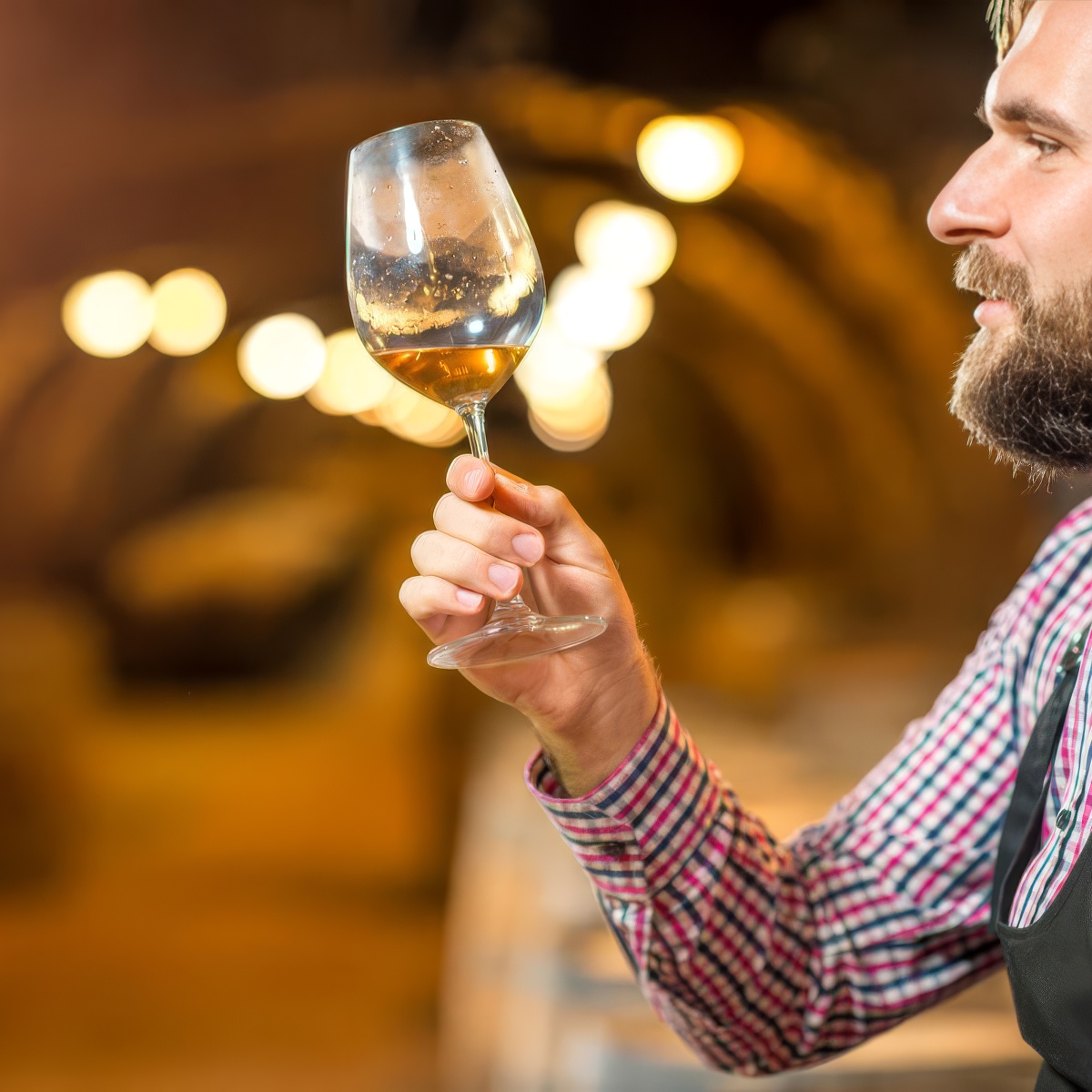 Kolacja z sommelierem | Katowice | Winiarnia Burgundia