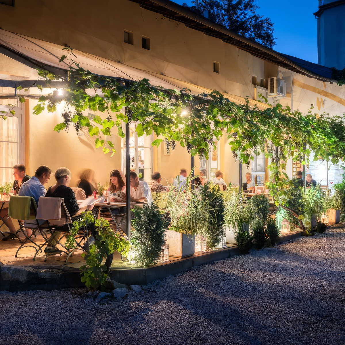 Kolacja degustacyjna dla dwojga | Kraków | Klimaty Południa