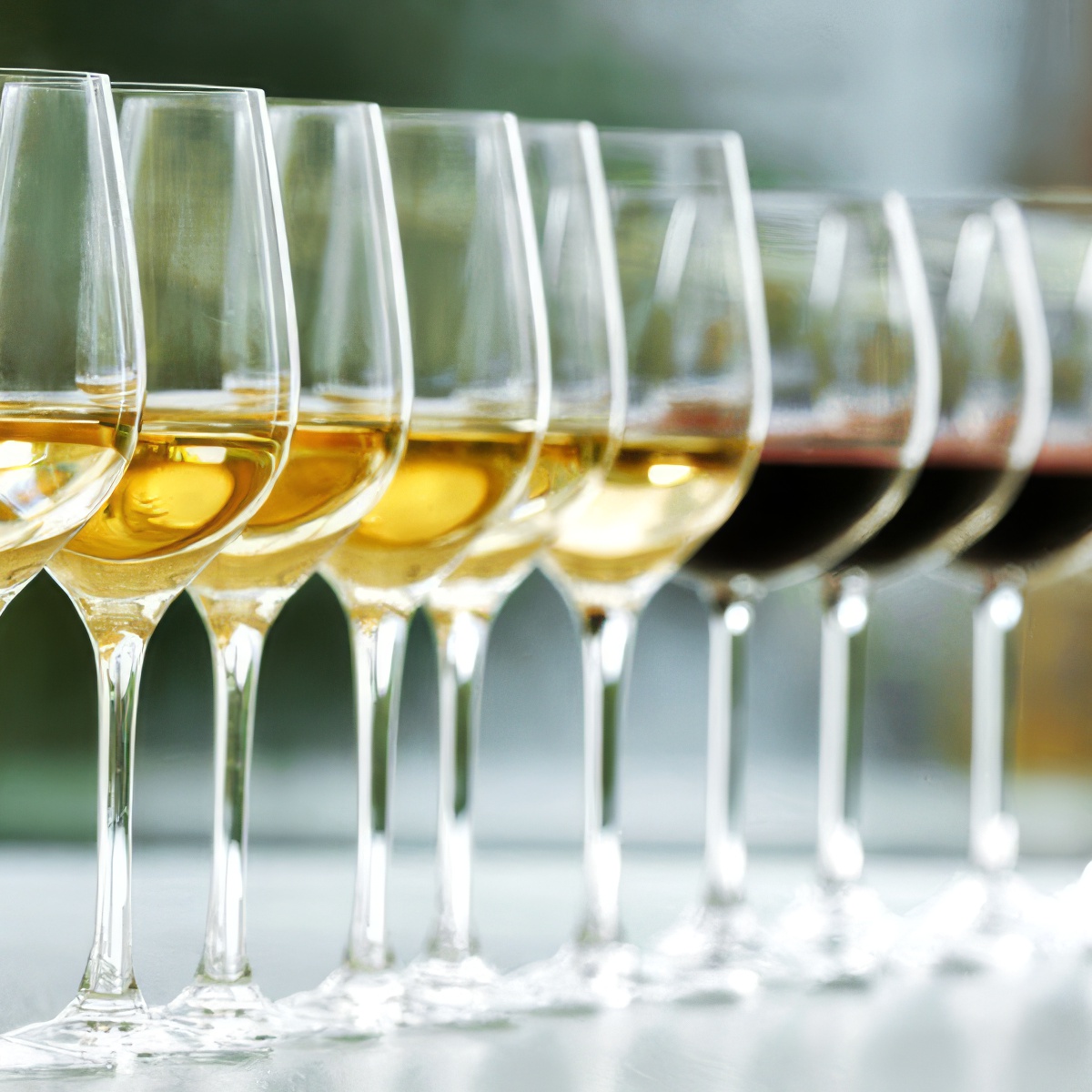 Degustacja win dla dwojga | Poznań | Bachanalia