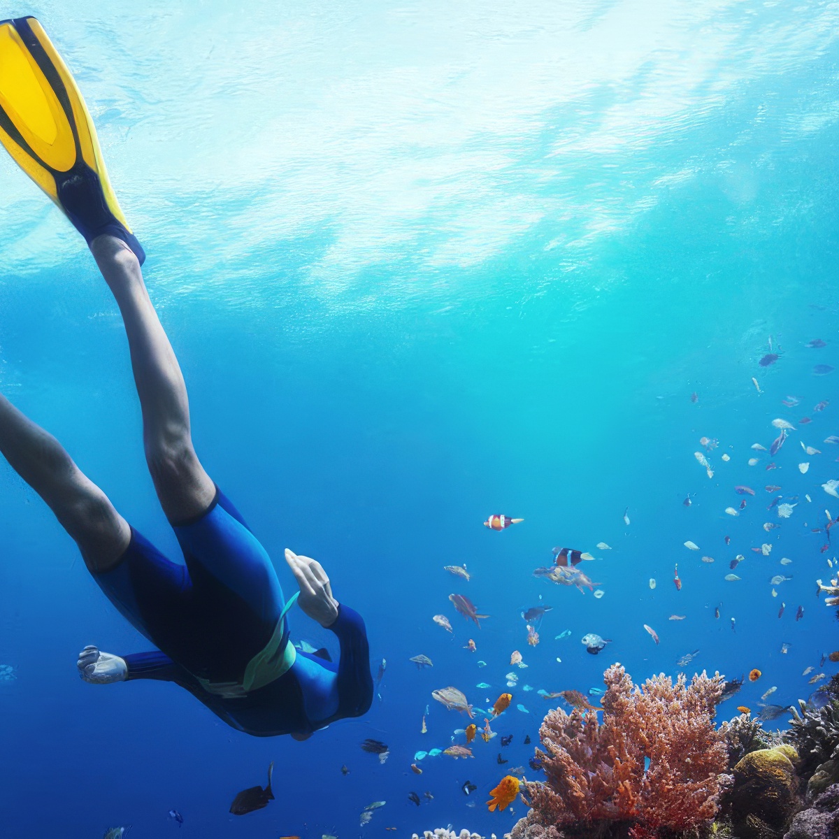 Poznaj nurkowanie | Bydgoszcz