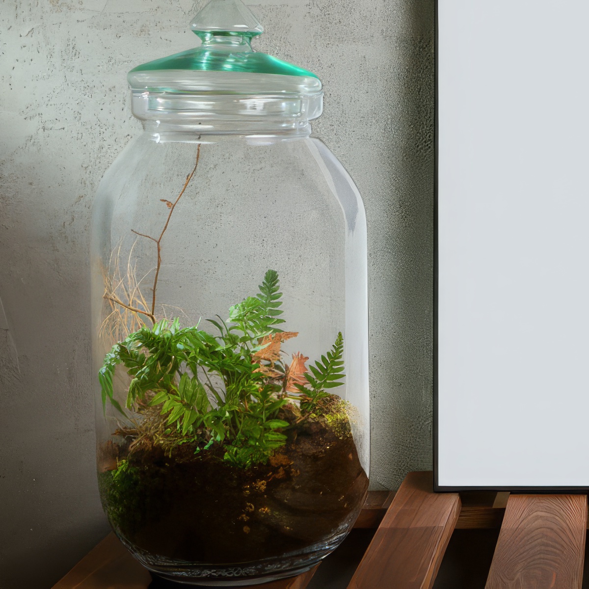 Stwórz własny Las w Słoiku | Łódź