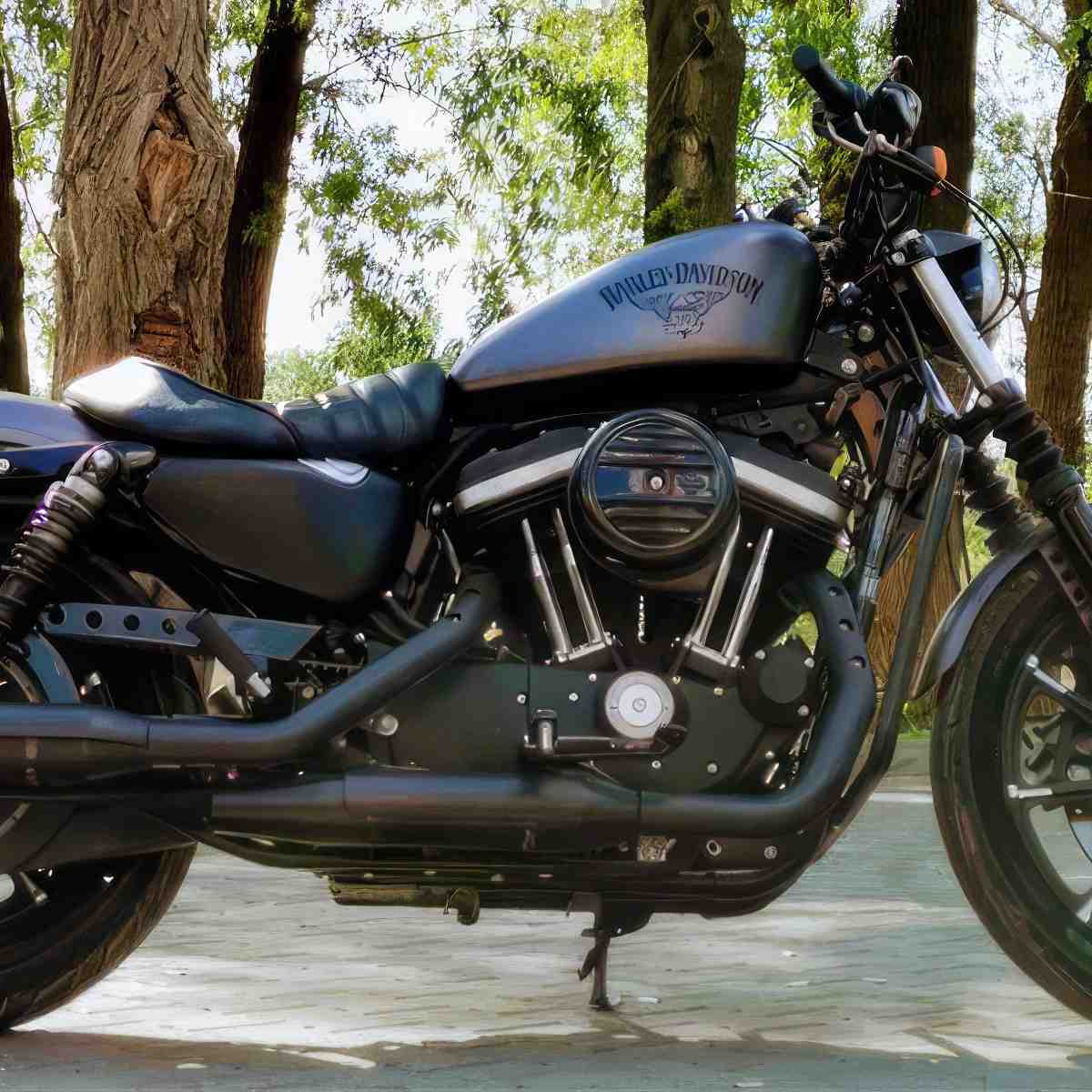 Jazda Motocyklem Harley Davidson | Toruń