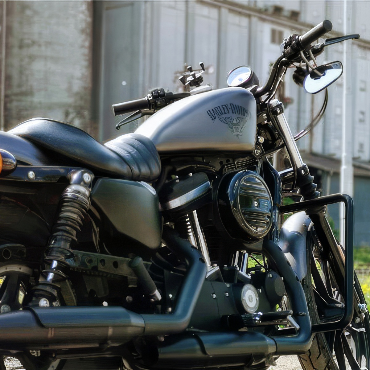 Jazda Motocyklem Harley Davidson | Toruń