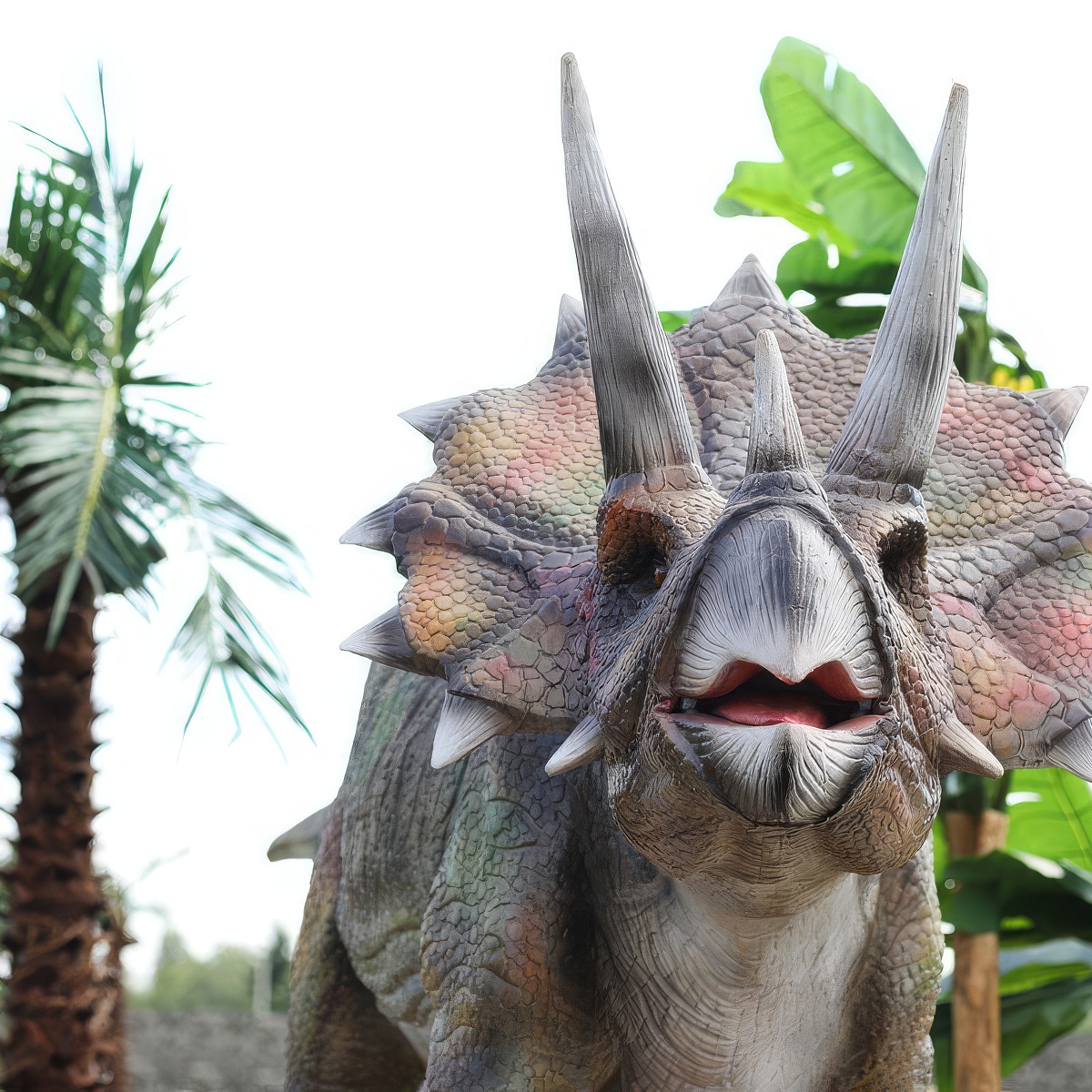 Przygoda w parku rozrywki | Solec Kujawski