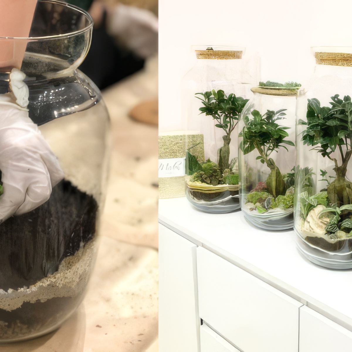 Stwórz własny Las w Słoiku | Katowice