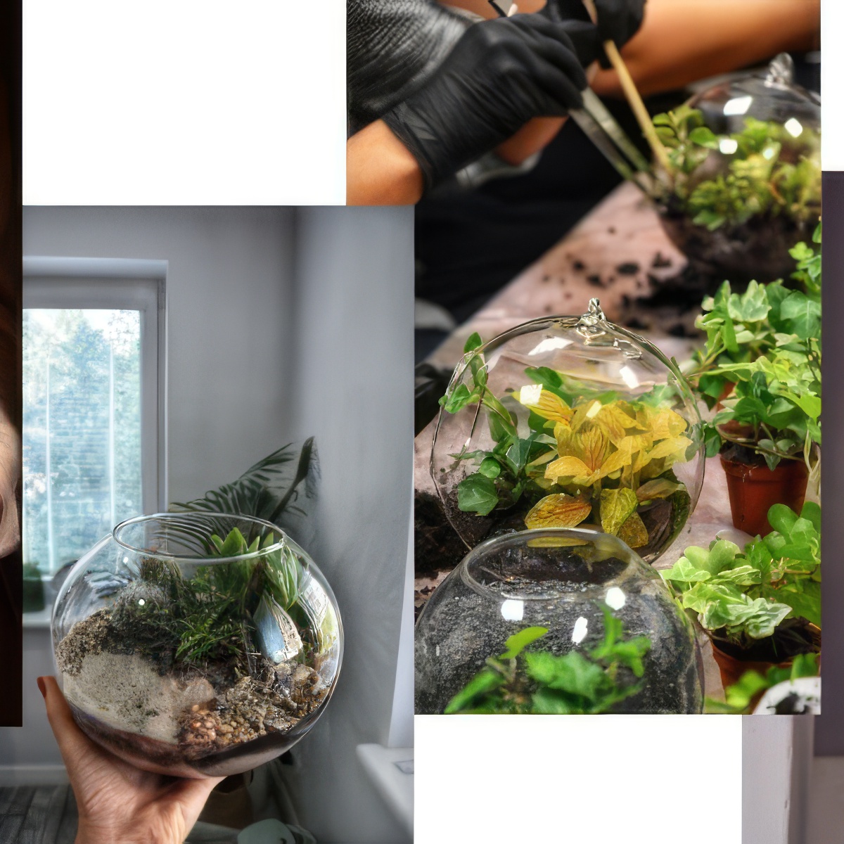 Stwórz Własny Las W Słoiku Online