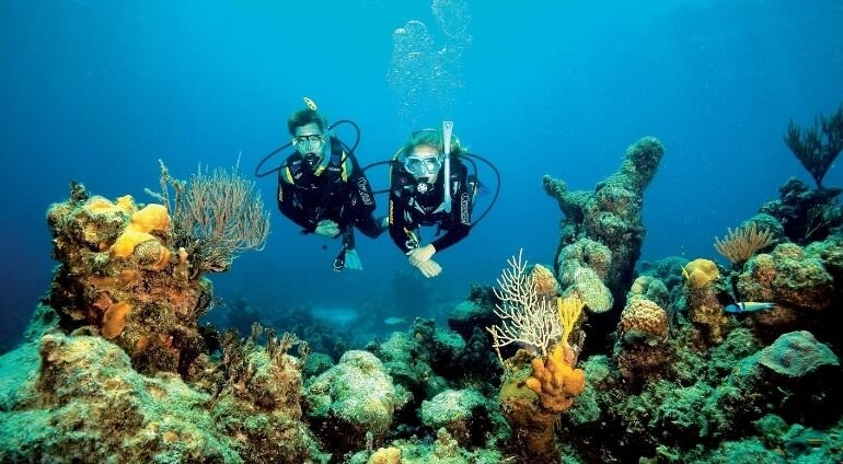 Kurs nurkowania (PADI/SSI/PSAI/SDI/IDF) | Łódź