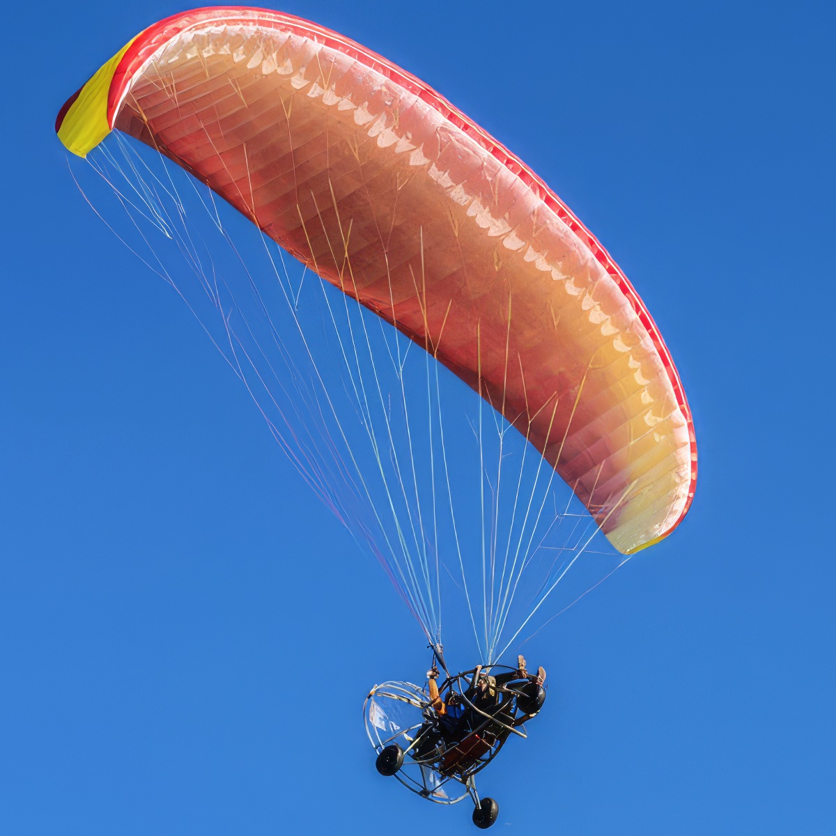 Lot motoparalotnią | Poznań