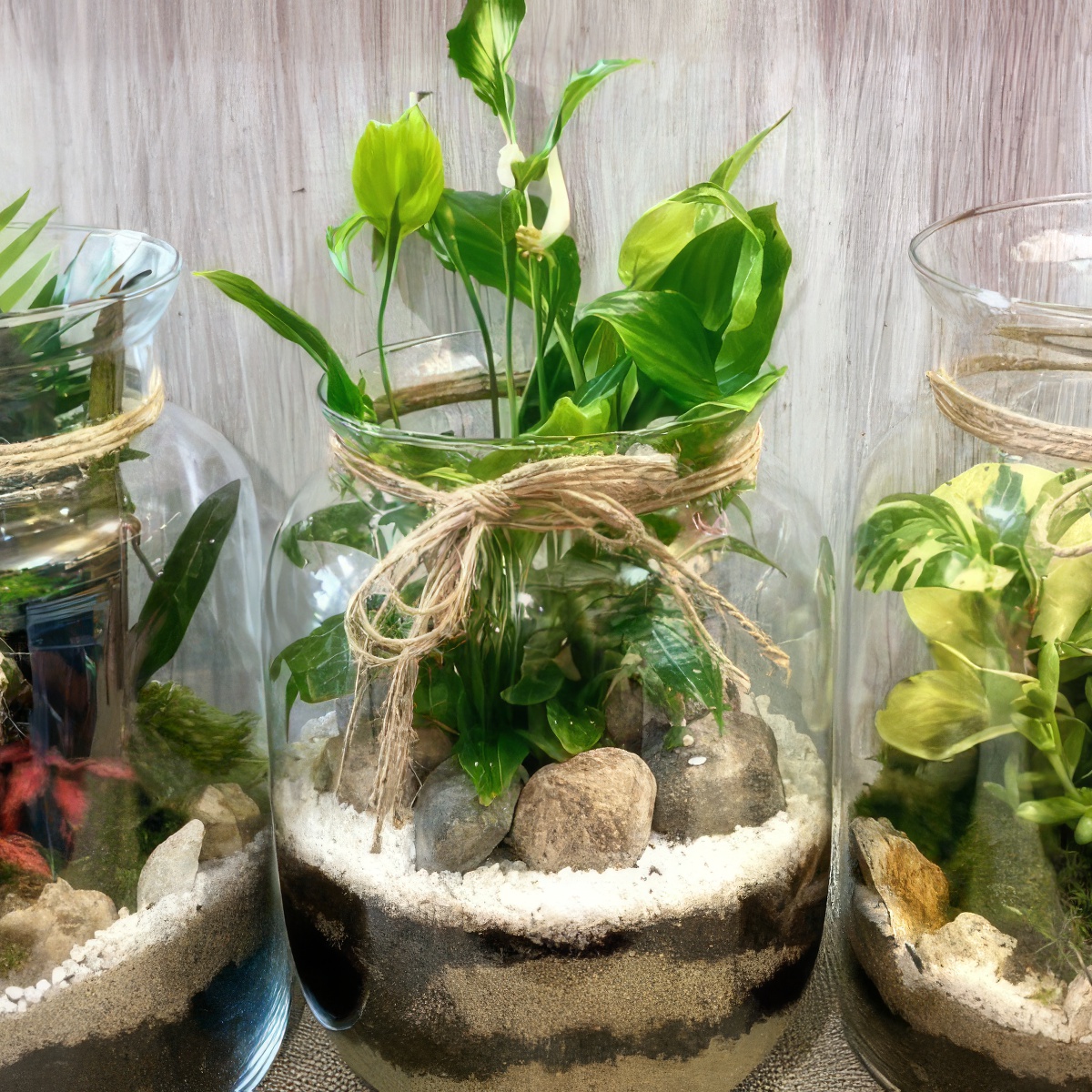 Stwórz własny Las w Słoiku | Włocławek