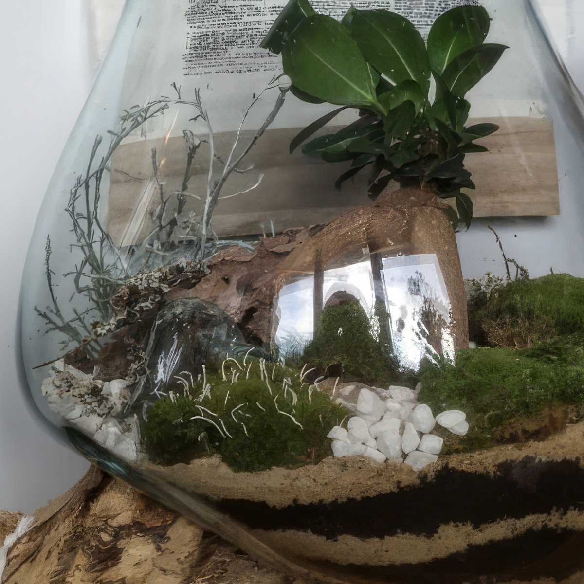 Stwórz własny Las w Słoiku | Opole