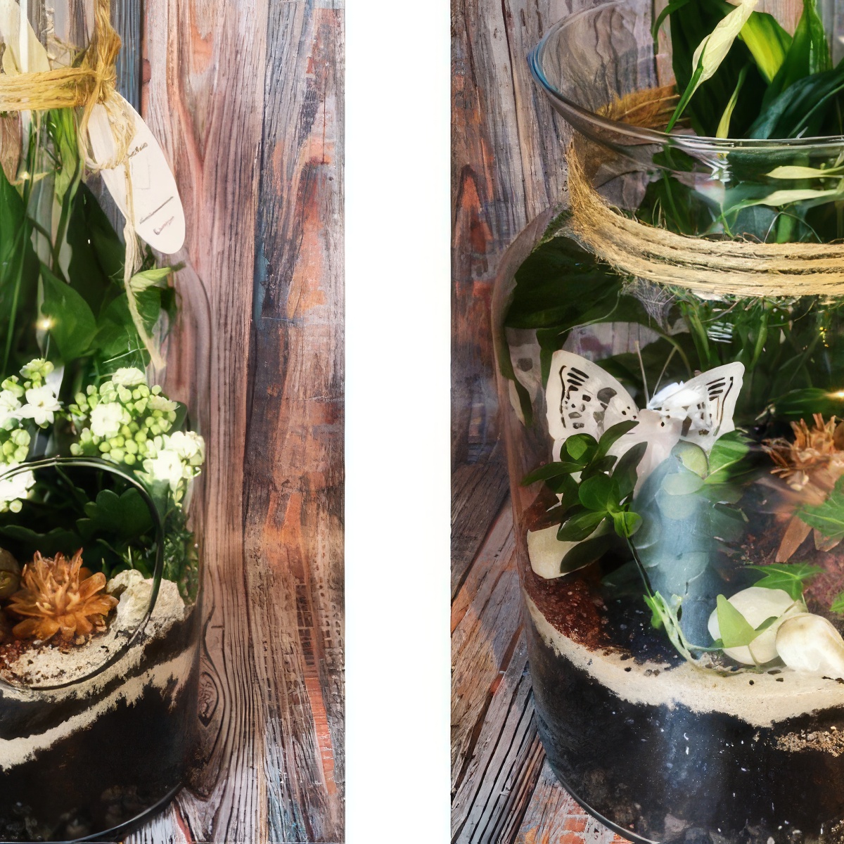 Stwórz własny Las w Słoiku | Płock