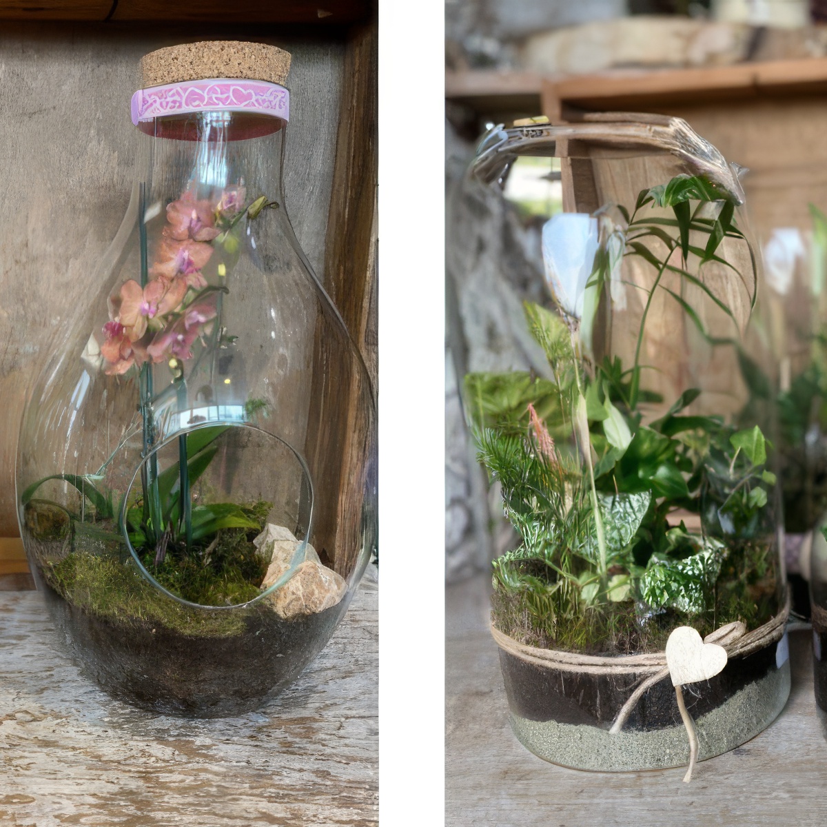 Stwórz własny Las w Słoiku | Bielsko-Biała (Kozy)