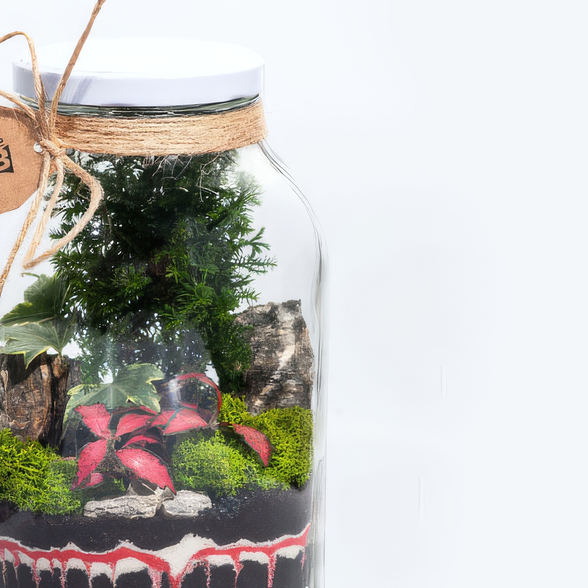 Stwórz własny las w słoiku dla dwojga | Warszawa (Białołęka)