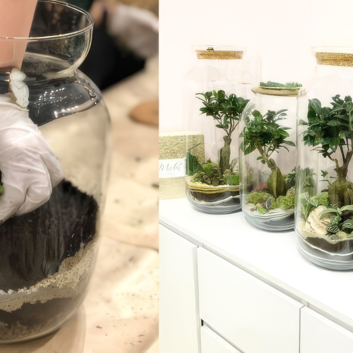 Stwórz własny las w słoiku dla dwojga | Katowice