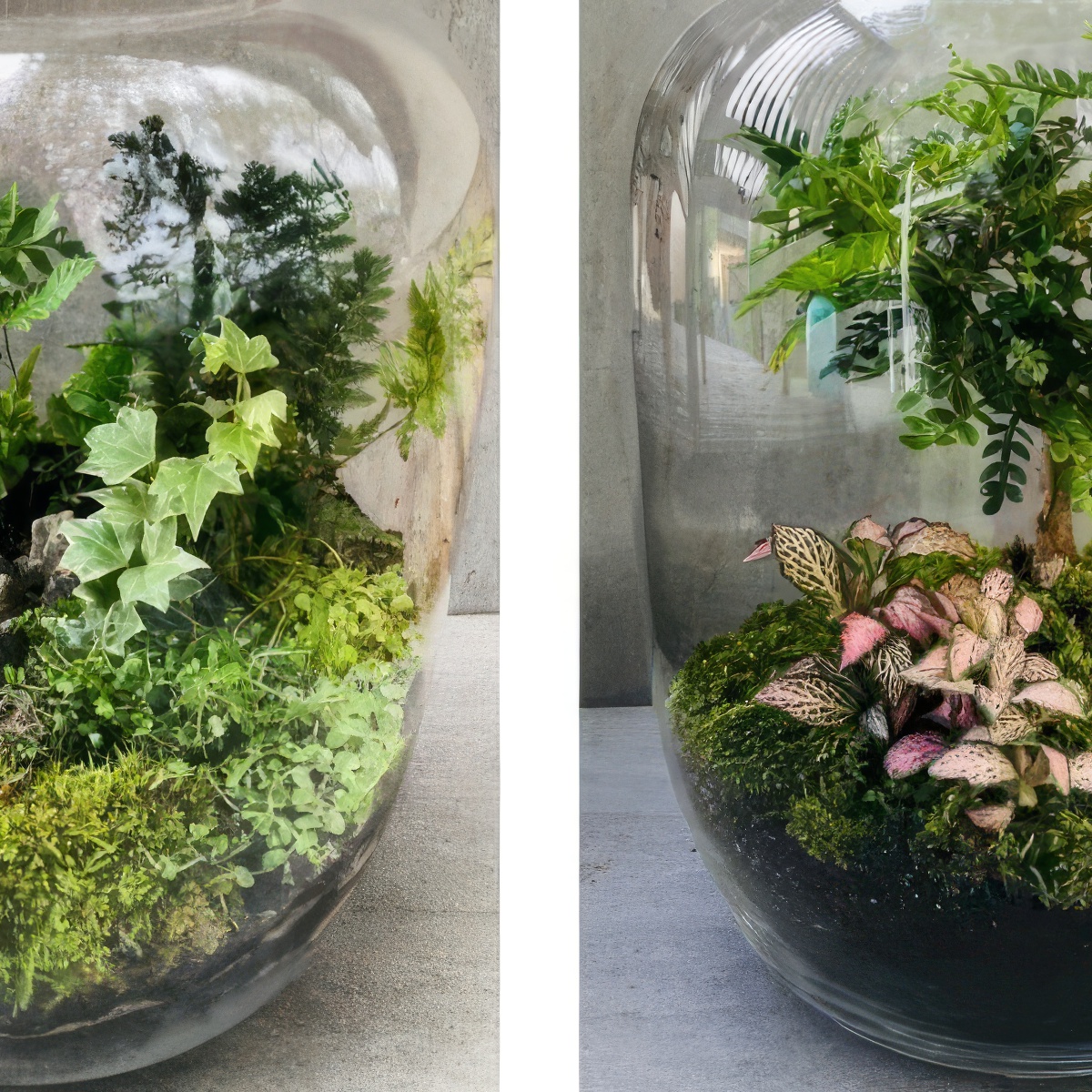 Stwórz własny Las w Słoiku | Kraków