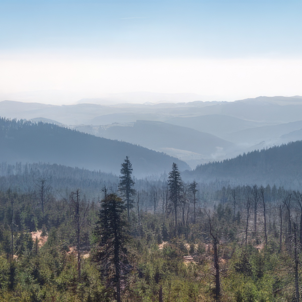 Wycieczka z przewodnikiem na Śnieżne Kotły | Szklarska Poręba | Poza Szlakiem