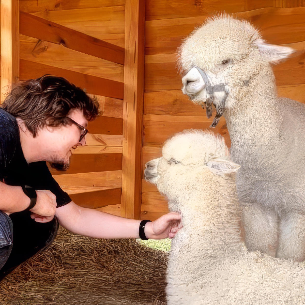 Spacer z Alpaką | Warszawa (Zabłocie)