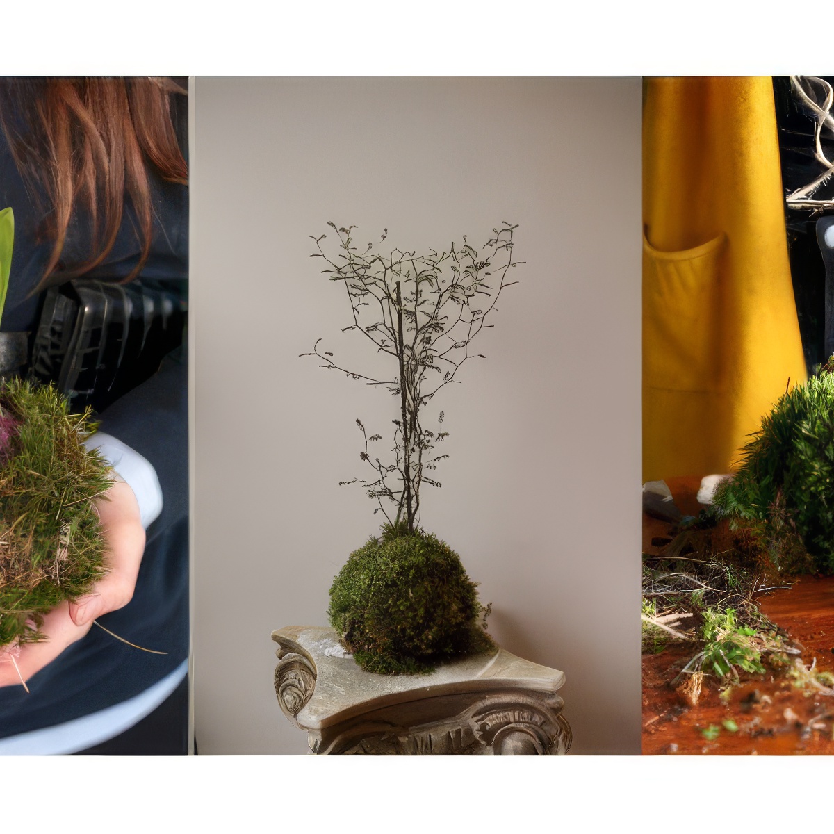 Kokedama – stwórz własny wiszący ogród | Sopot