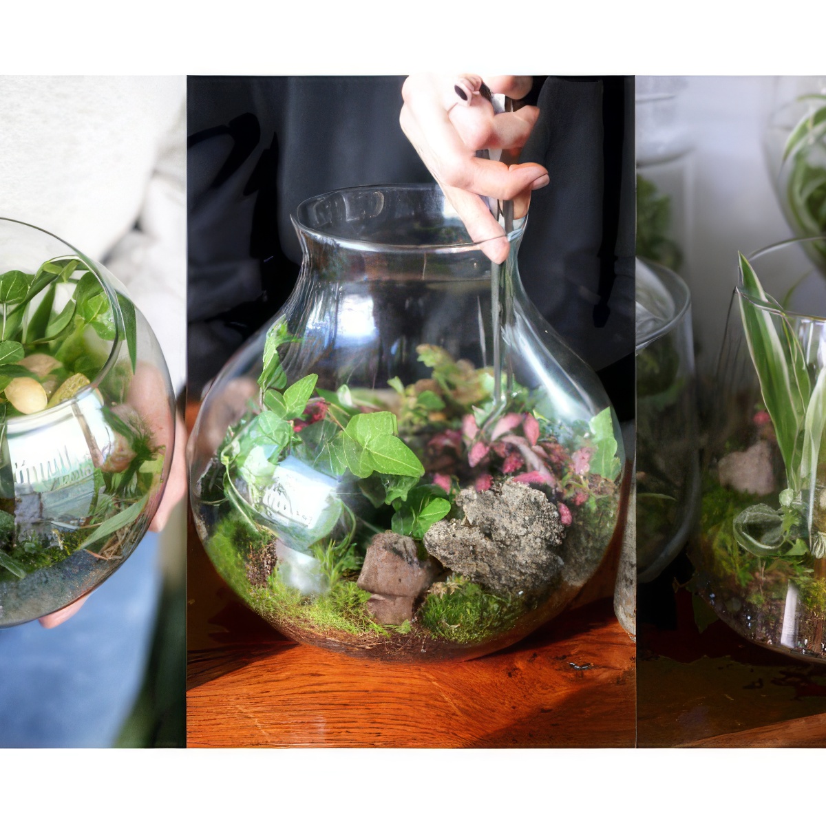 Stwórz własny Las w Słoiku | Sopot