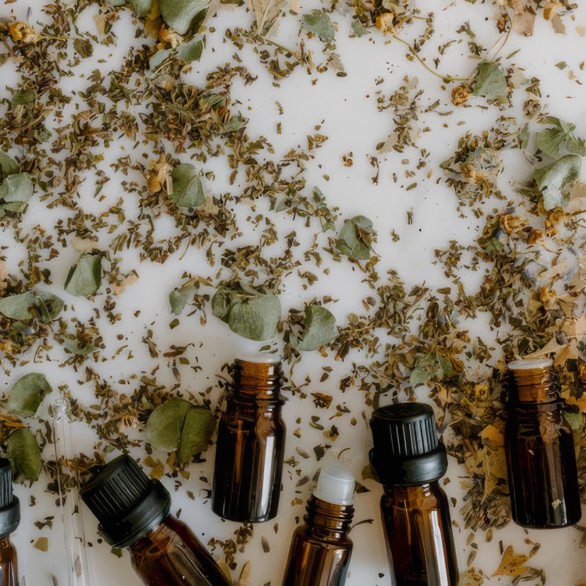 Warsztaty tworzenia ziołowych produktów | Piaseczno