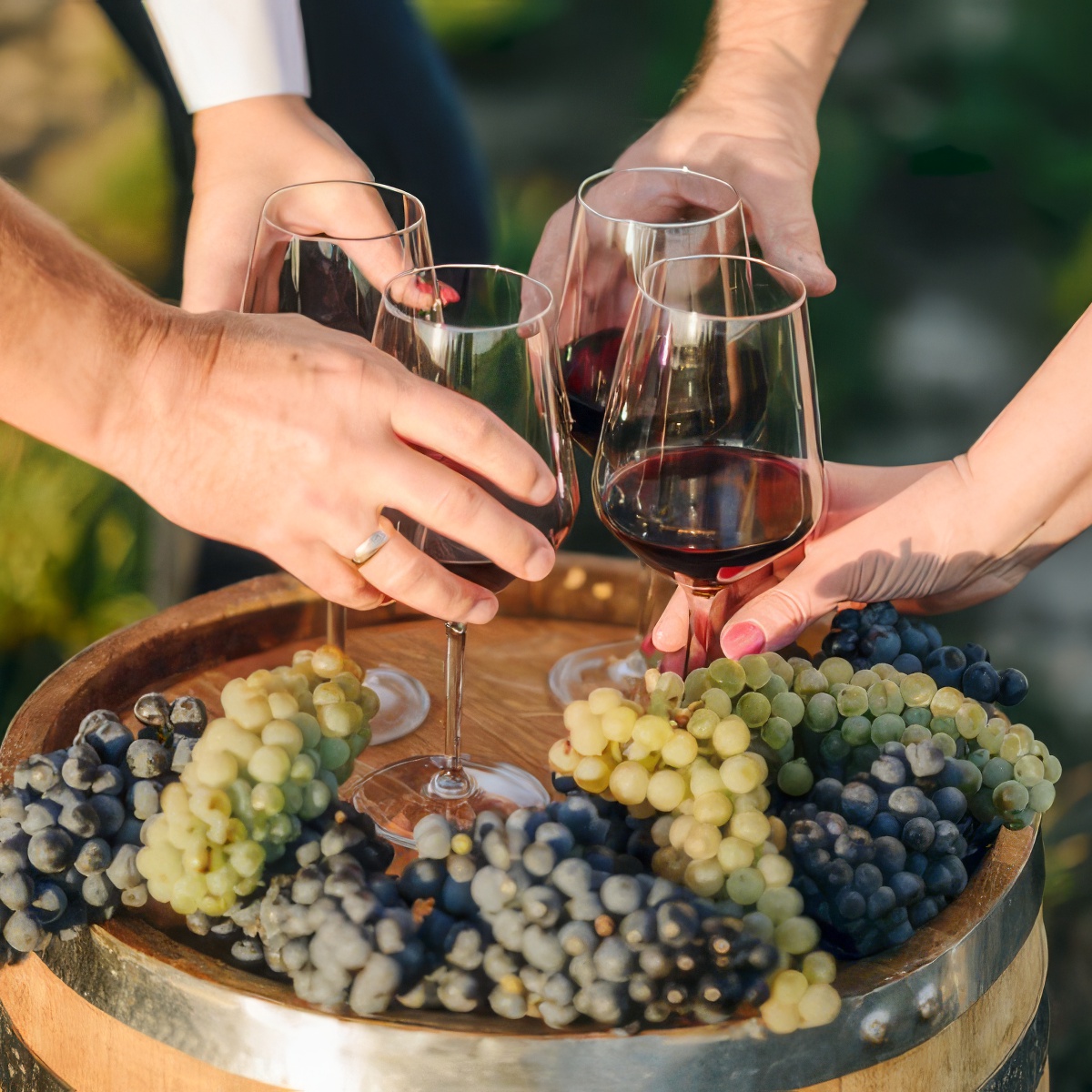 Degustacja win - warsztaty z właścicielem Winnicy | Piła (Dębołęka) | Winnica Invictus