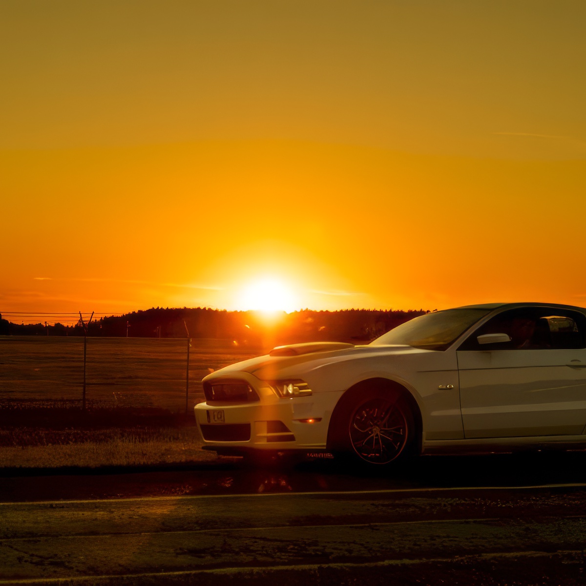 Jazda Fordem Mustangiem ulicami miasta | Poznań