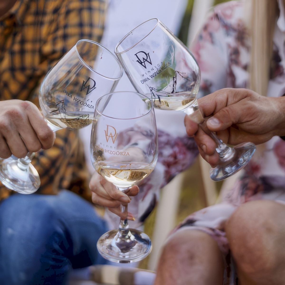 Degustacja win w gronie przyjaciół | Lublin (Janów Lubelski) | Winnica Dwa Wzgórza