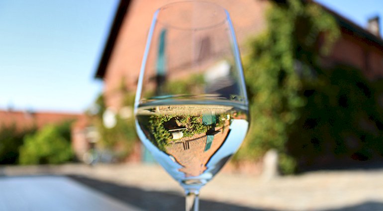 Zwiedzanie Winnic Jaworek z degustacją | Wrocław (Miękinia) | Winnice Jaworek