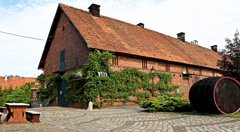 Zwiedzanie Winnic Jaworek z degustacją | Wrocław (Miękinia) | Winnice Jaworek