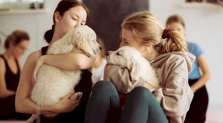 Puppy joga | Szczecin
