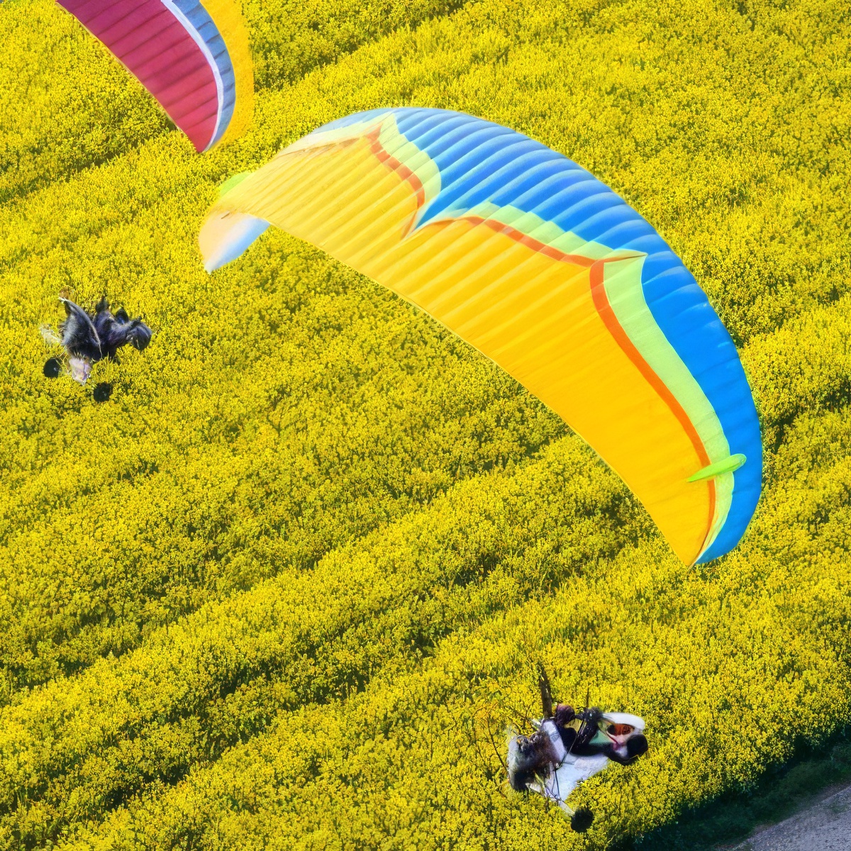 Lot motoparalotnią dla dwojga | Ostrów Wielkopolski