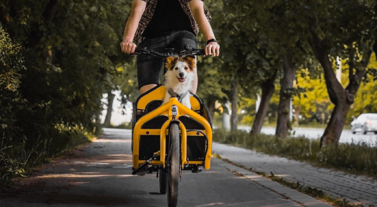 Wypożyczenie roweru
