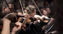 Muzycy Orkiestry Podczas Koncertu