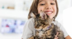 Kurs felinoterapii Online