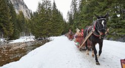 Kulug dla dwojga w Zakopanem