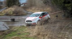 Fiesta ST